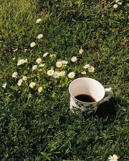 A cup of coffee left in the grass among the daisies.